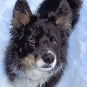 Meet your Posher, Sherie